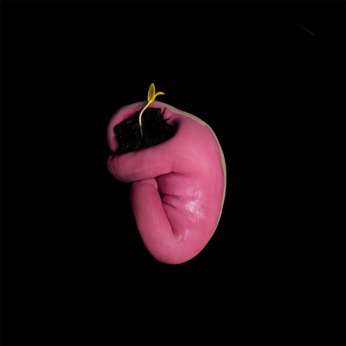 Семя / Seed